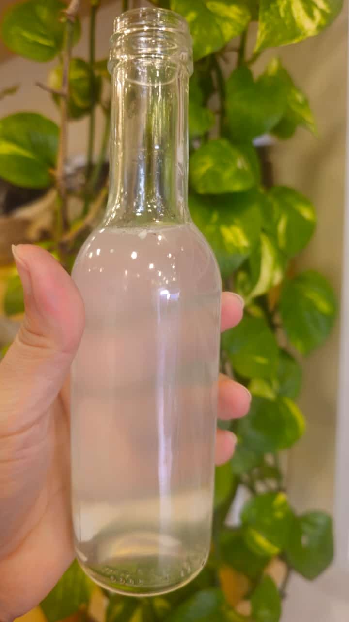 Coconut Water Kefir by Dates and Roots