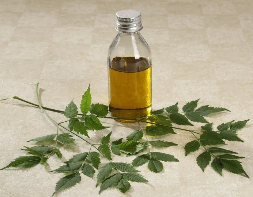 Neem Carrier Oil