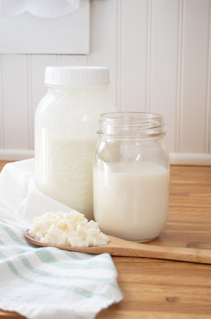 Cow Milk Kefir Whey by Dates and Roots
