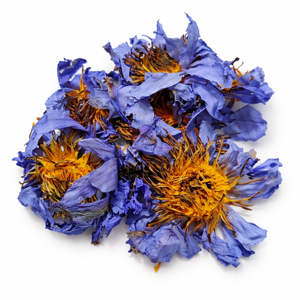 Blue Lotus