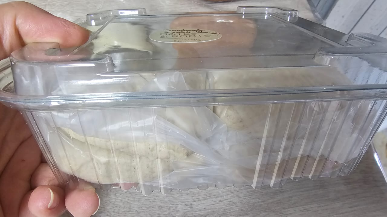 Manakish/Pizza organic fermented dough