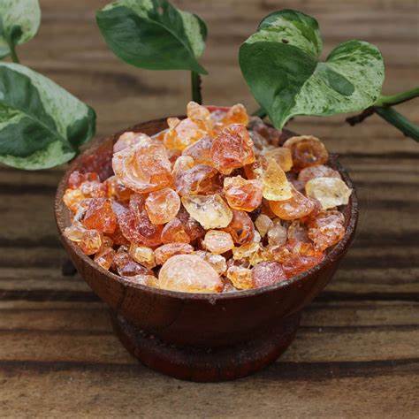 Acacia Gum Instant Powder