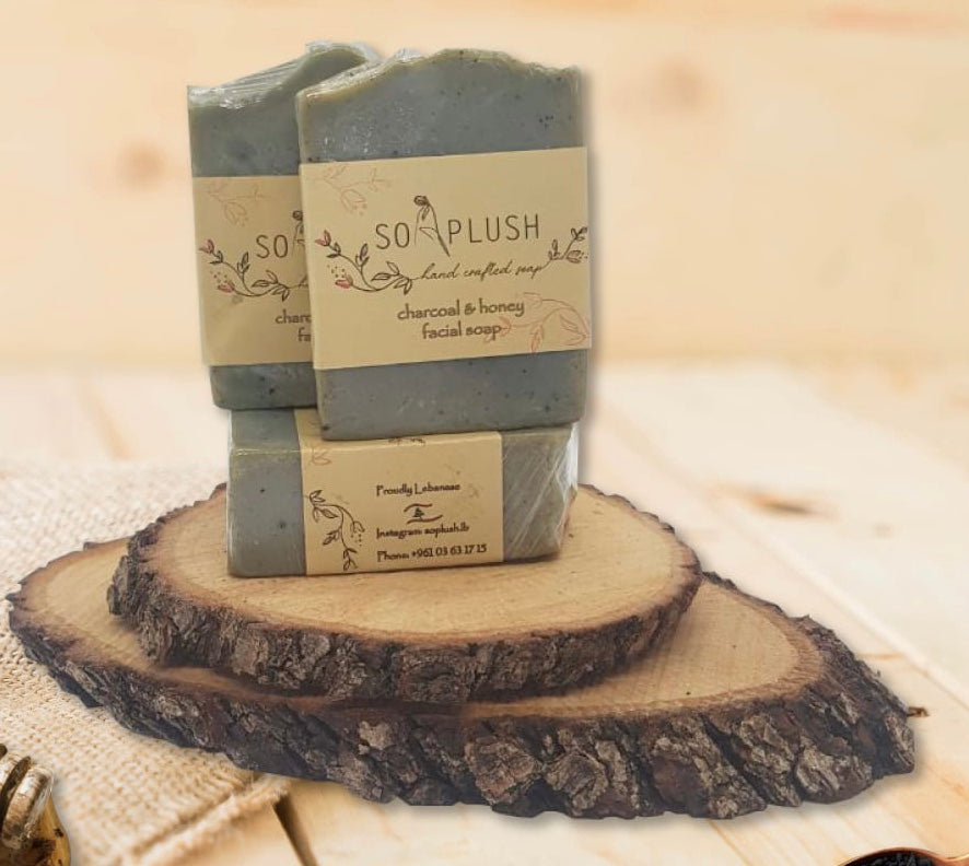 Charcoal and Honey Facial Soap