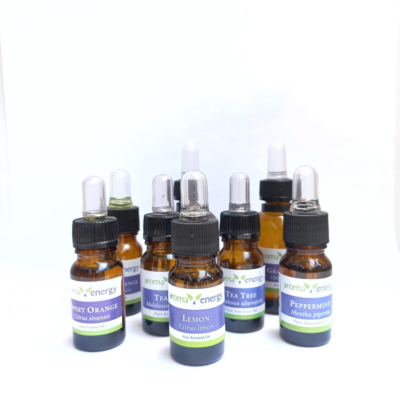 Eucalyptus Radiata Pure Essential Oil