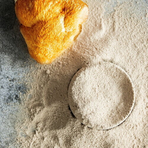 Lion's Mane Mushroom Extract Powder