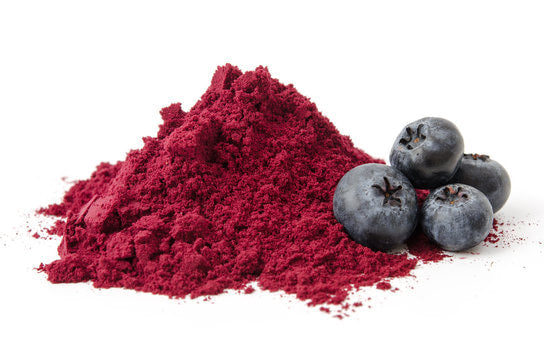 Bilberry Powder