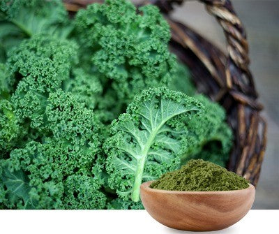 Kale Powder