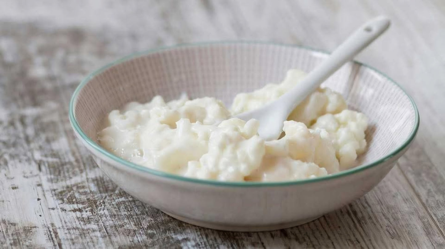 Milk kefir Grains (florets)