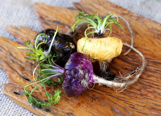 Maca Mix Powder Mushroom