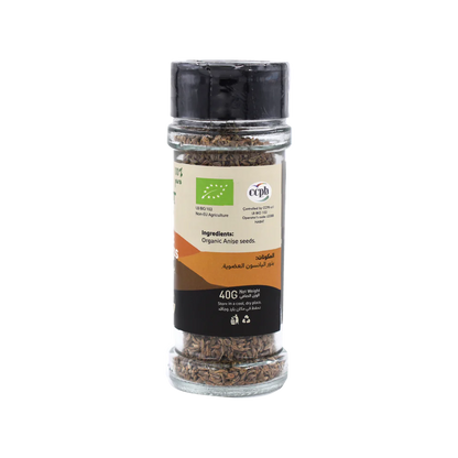 Anise Seeds