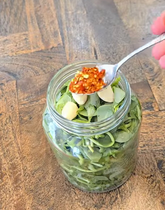 Baklé Lacto-Fermented