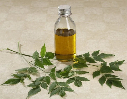 Neem Carrier Oil