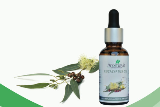 Eucalyptus Oil