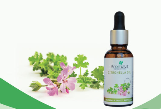 Citronella Oil