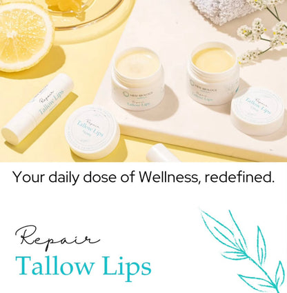 Tallow Lip Balm