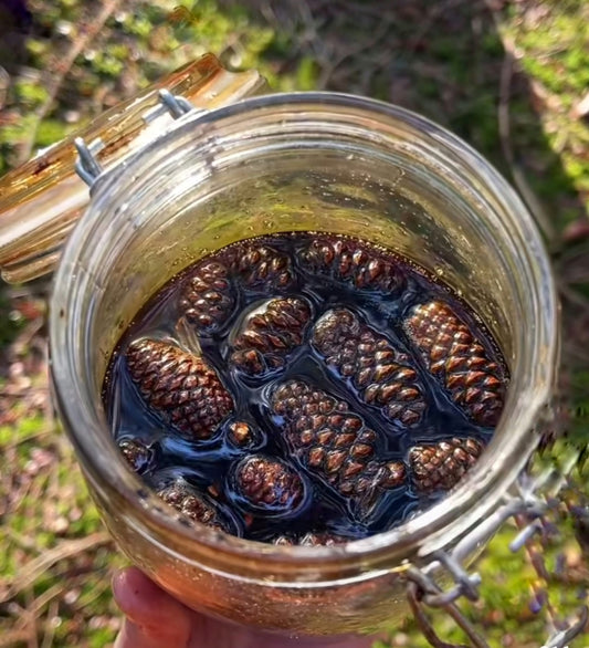 Pine Cone Syrup