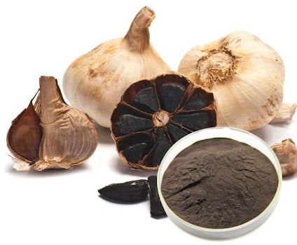Black Garlic Powder