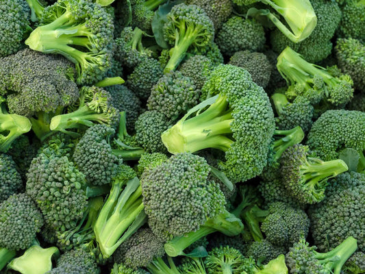 Brocoli Extract Powder