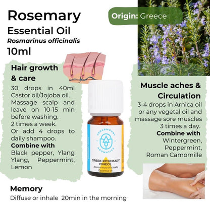 Rosemary ct Cineol Oil