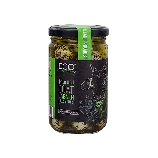 Labneh Mkaazale With Mint