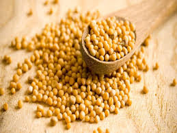 Mustard Seeds