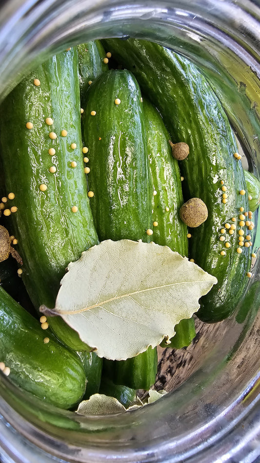 Lacto-fermented Organic Cucumbers