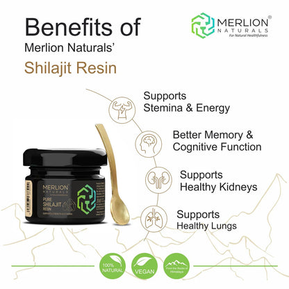 Pure Shilajit Resin