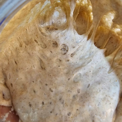 Sourdough Active Starter