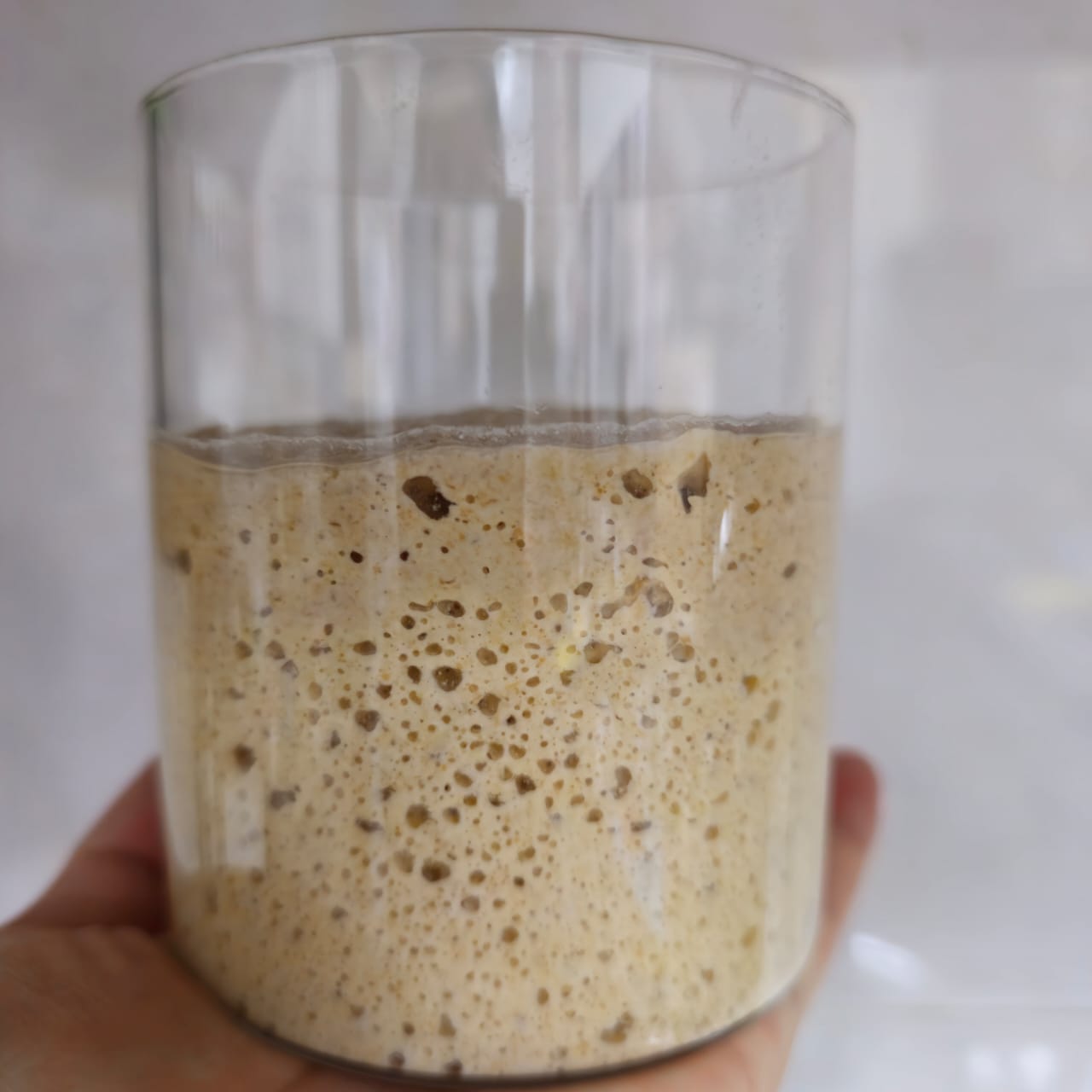 Sourdough Active Starter