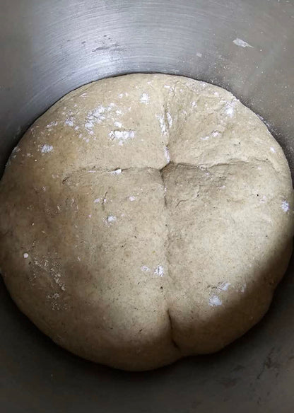 Organic Fermented Dough