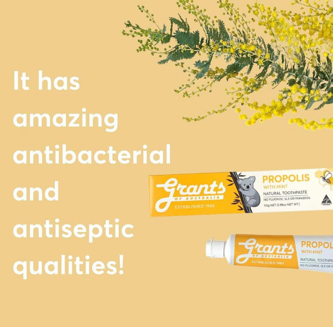 Adults Natural Toothpaste by Grants Australia