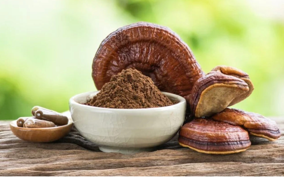 Reishi Mushroom Powder