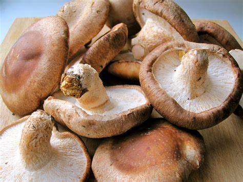 Shiitake Mushroom Powder