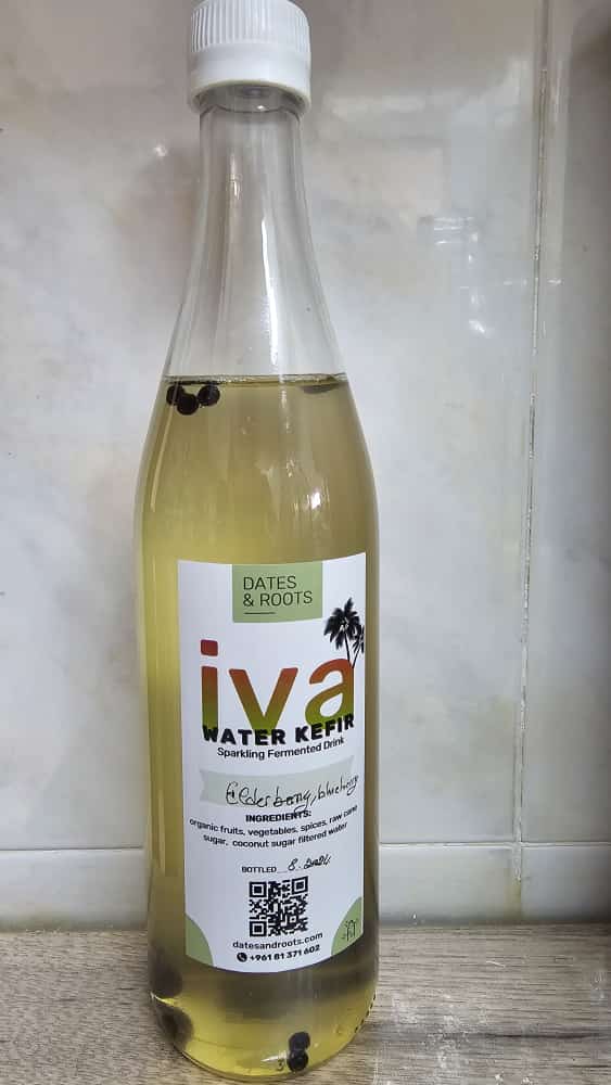 Water Kefir IVA by Dates & Roots