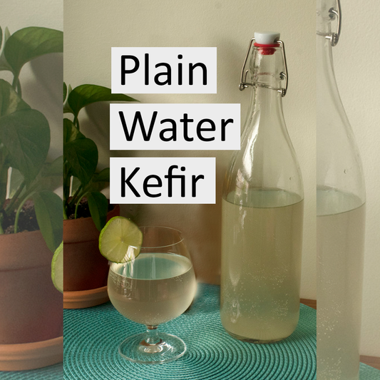 Plain Water Kefir