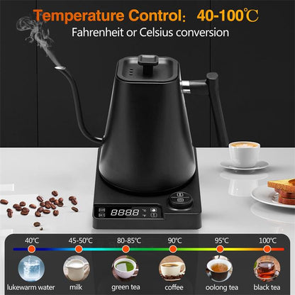 Precise Temperature Gooseneck Electric Kettle K08