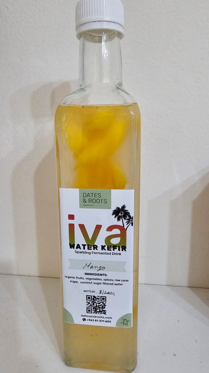 Water Kefir IVA by Dates & Roots