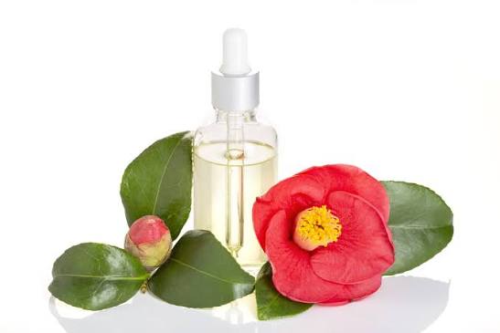 Camelia oil by dates and roots
