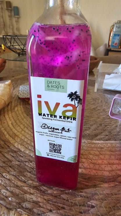 Water Kefir IVA by Dates & Roots