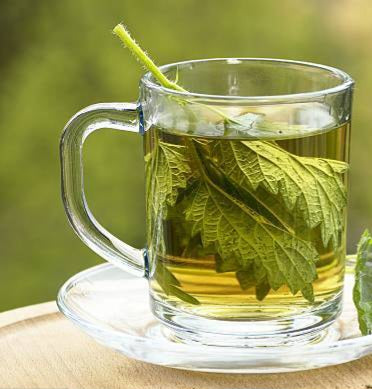 Nettle tea قريّص