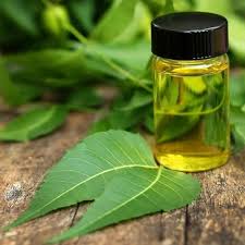 Neem carrier oil