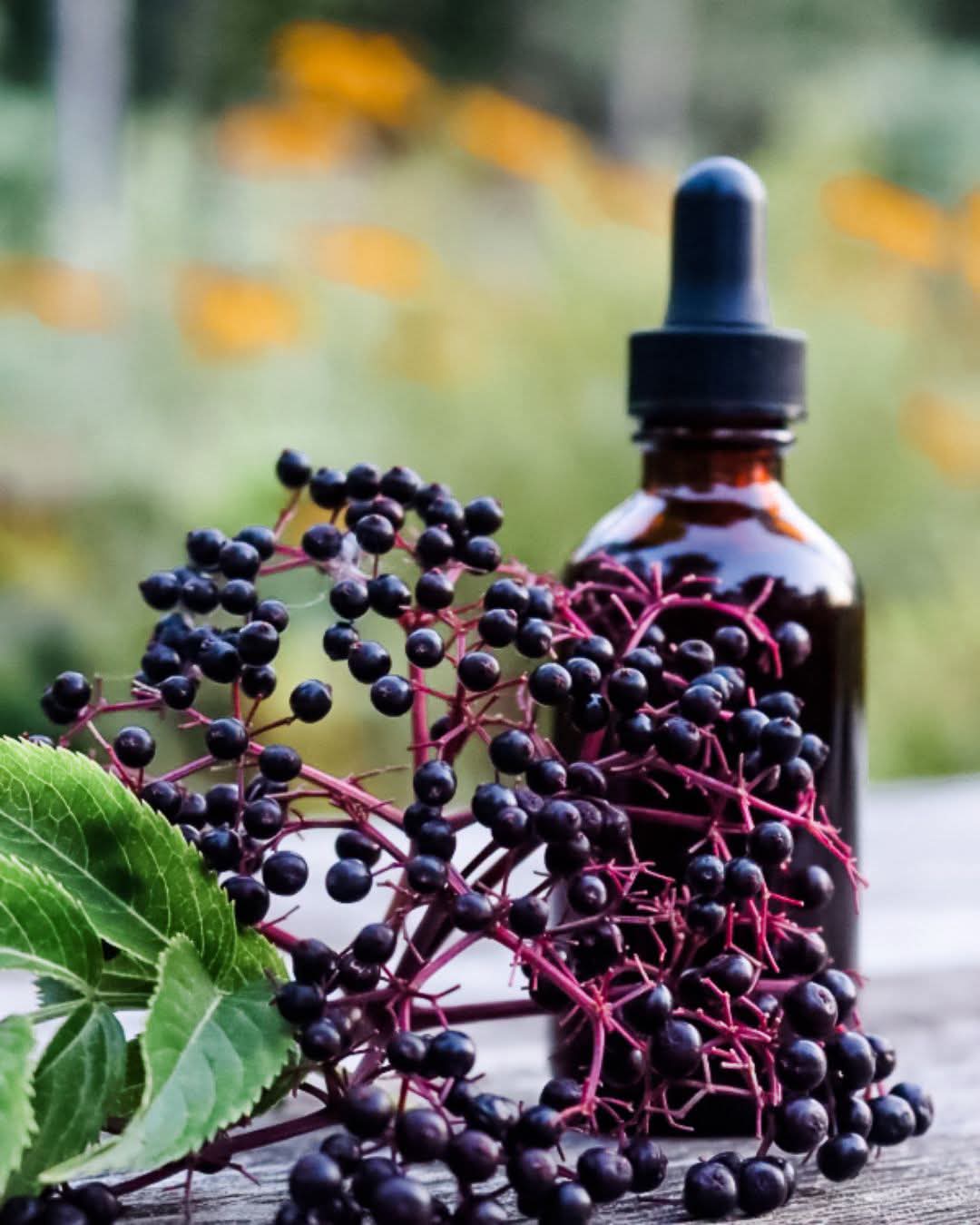 Elderberry Syrup by Dates & Roots