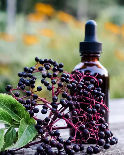 Elderberry Syrup by Dates & Roots