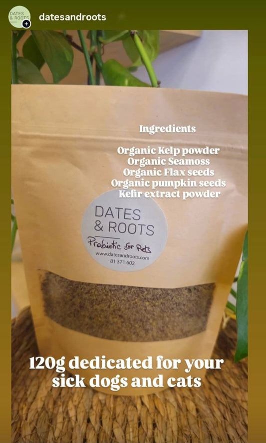 Probiotic For Dogs And Cats